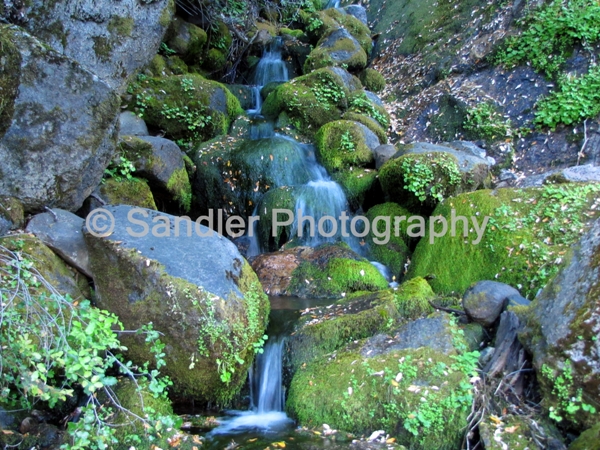 http://www.sandlerphotography.com/Photos/Rancheria Falls Hike - June 326 -2 -LR.JPG